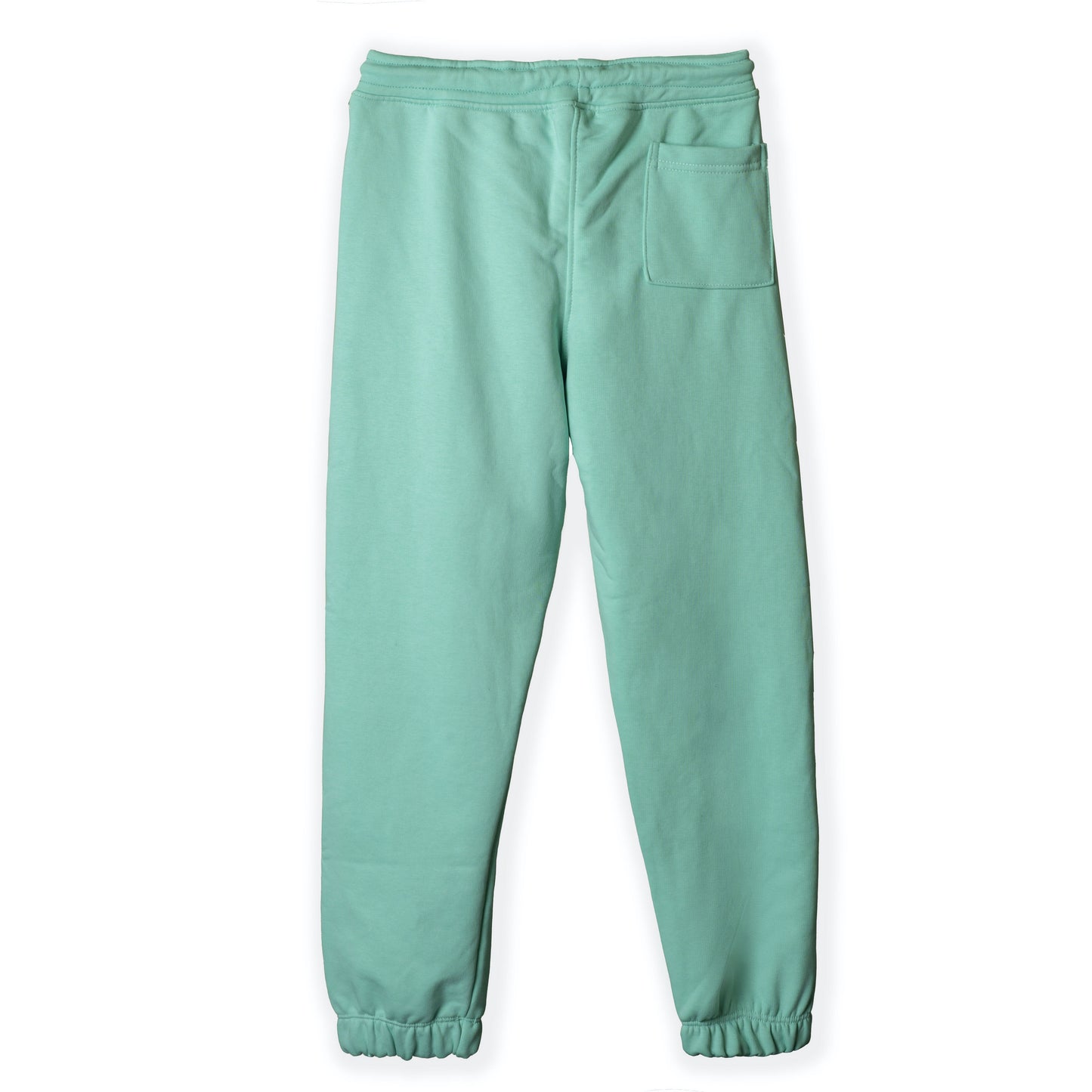Mint sweatpants