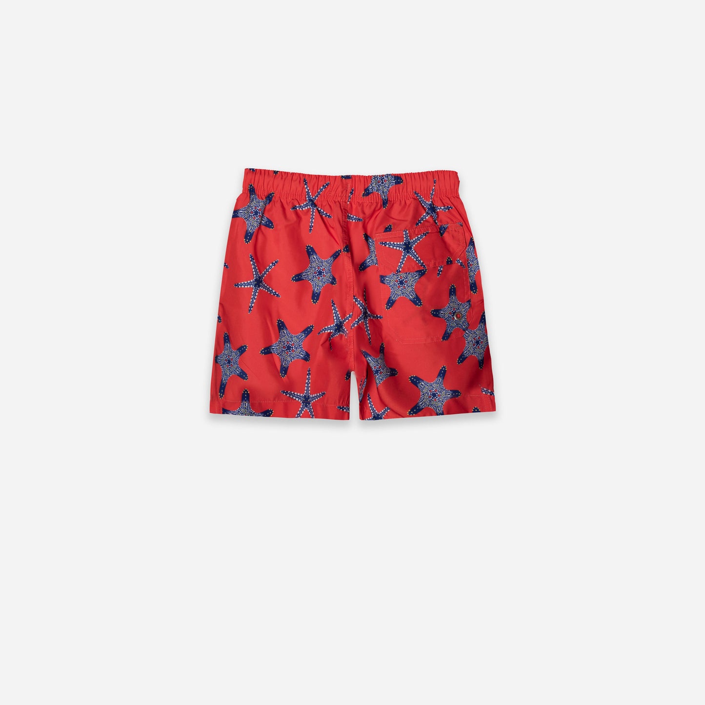 Starfish Swim Shorts - Orange