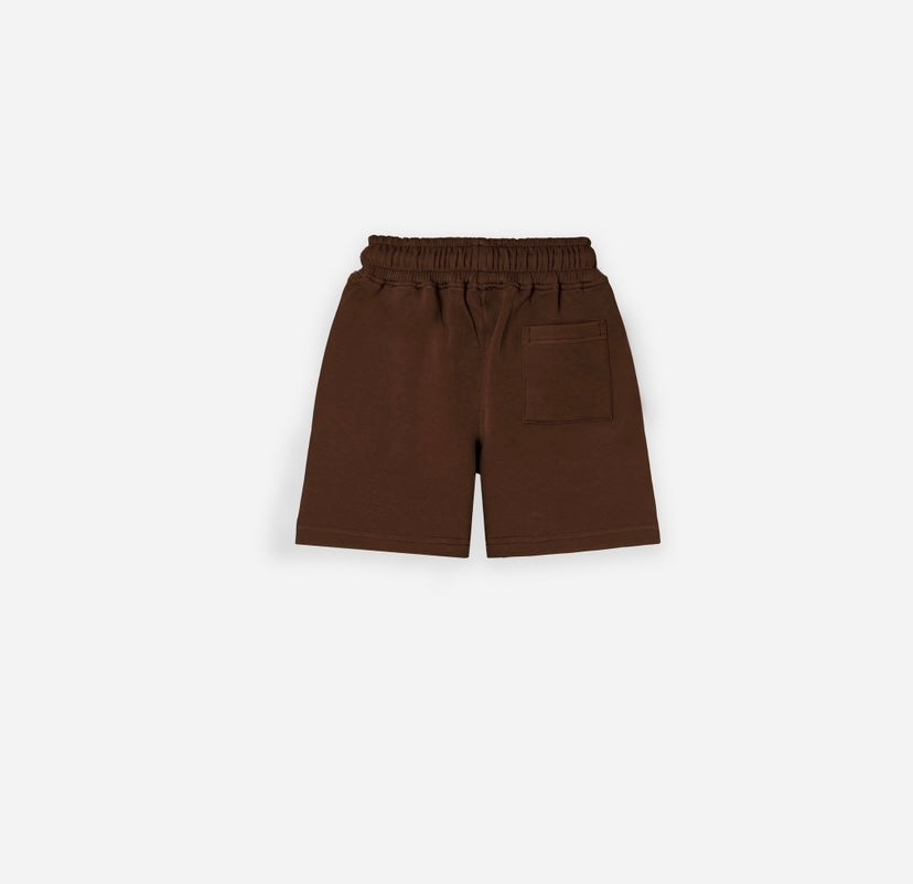 Brown Active Shorts